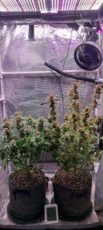 IMG_20250113_090437_HDR[1].jpg