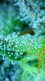 2025_01_26_04_46_48_374.png