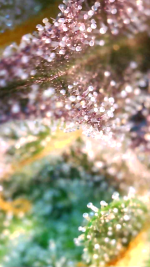 2025_01_26_04_46_28_428.png