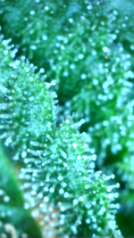 2025_01_26_04_45_27_097.png
