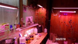 100_0365.jpg
