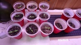 100_0457.jpg