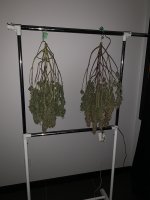 photo180172.jpg