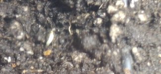 20250421_173749.jpg