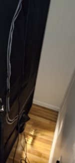 20250429_133616.jpg