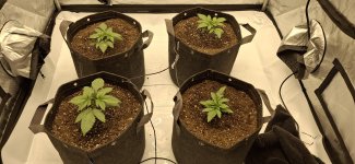 20250504_060751.jpg