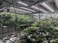 Grow Room 5-22-25.jpg