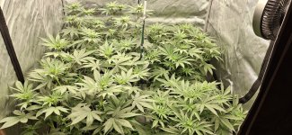 20250601_080726.jpg