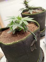 photo181551.jpg
