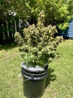 photo182295.jpg
