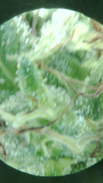 1752790836801.png
