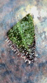 2025_08_03_21_55_52_146[1].png