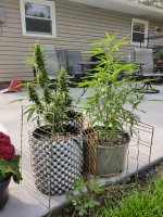 IMG_20250808_174922.jpg