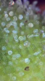 2025_08_09_23_17_28_959.png
