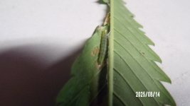 100_0539.jpg