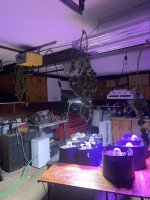 IMG_1047.jpg