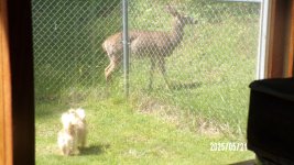100_0484.jpg