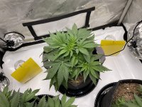 IMG_0514.jpg