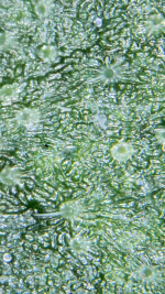 2025_12_03_18_17_33_520.png
