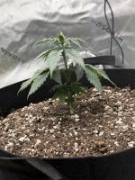 photo185929.jpg