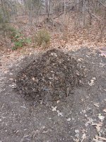 20260219_110802.jpg