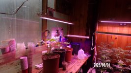 100_0493.jpg
