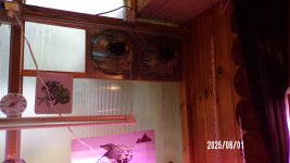 100_0494.jpg