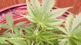 100_0704.jpg