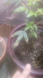 20170516_113058.jpg