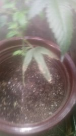 20170516_113102.jpg