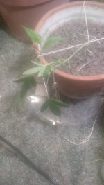 20170516_113113.jpg