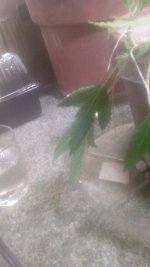 20170516_113122.jpg