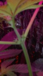 photo19923.jpg
