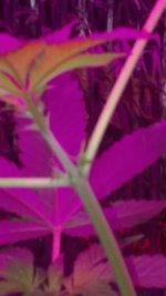 photo19926.jpg