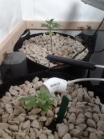 photo20127.jpg