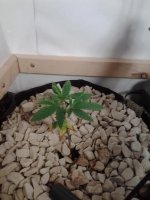 photo20128.jpg