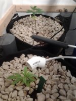 photo20129.jpg