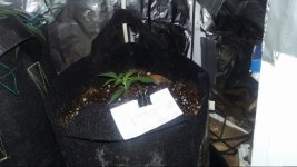 photo20132.jpg