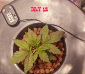 2017-20-5--15-15-54.jpeg