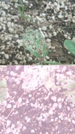 20170521_121814.jpg