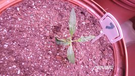 100_0718.jpg