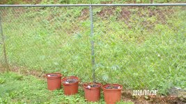 100_0765.jpg