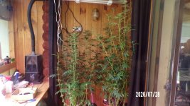 100_0761.jpg