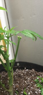 20260805_175818.jpg