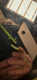 20260805_175936.jpg