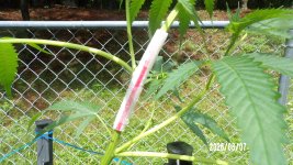 100_0777.jpg