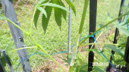 100_0778.jpg
