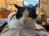 IMG_5480.jpeg