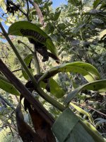 IMG_2901.jpeg
