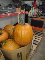 IMG_20260924_095714511.jpg